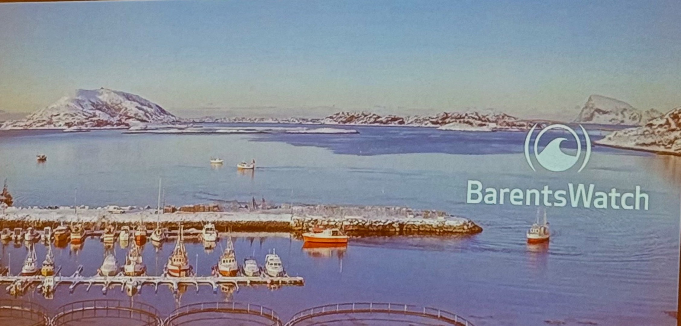 2026 Medlemsmøte BarentsWatch  Skarven Kulinariske